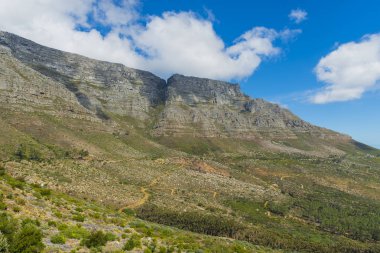 Cape town Masa Dağı