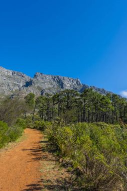 Cape town Masa Dağı