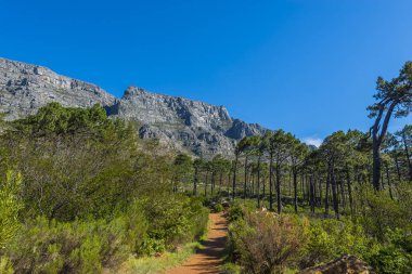 Cape town Masa Dağı