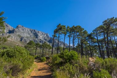 Cape town Masa Dağı