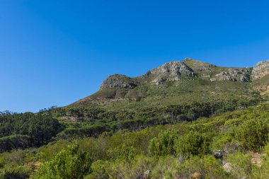 Cape town Masa Dağı