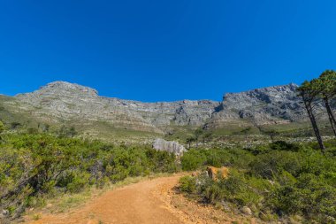 Cape town Masa Dağı