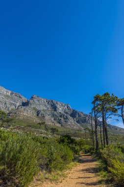 Cape town Masa Dağı