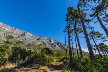 Cape town Masa Dağı