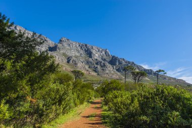 Cape town Masa Dağı