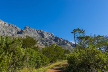 Cape town Masa Dağı