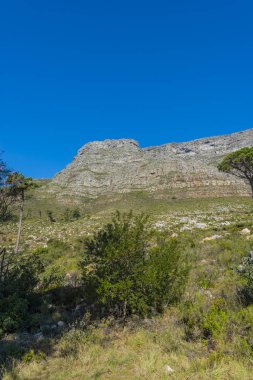 Cape town Masa Dağı