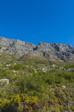 Cape town Masa Dağı