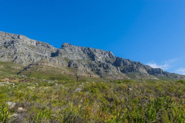 Cape town Masa Dağı