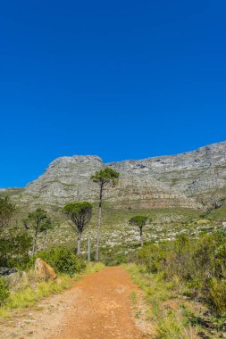 Cape town Masa Dağı
