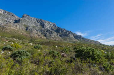 Cape town Masa Dağı