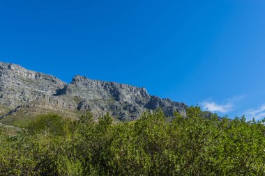 Cape town Masa Dağı