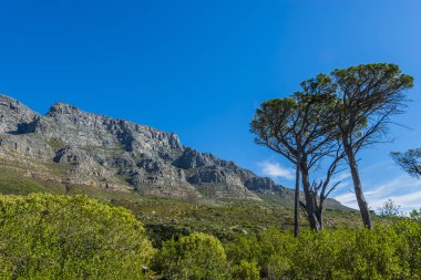 Cape town Masa Dağı