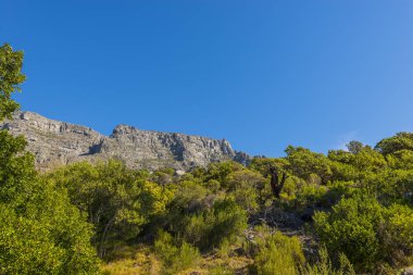 Cape town Masa Dağı