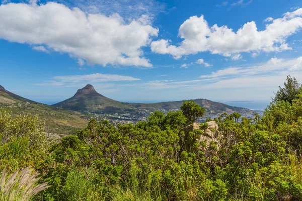 Cape Town Løver hoved Mountain - Stock-foto