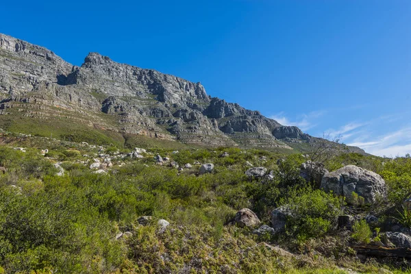 Cape town Masa Dağı