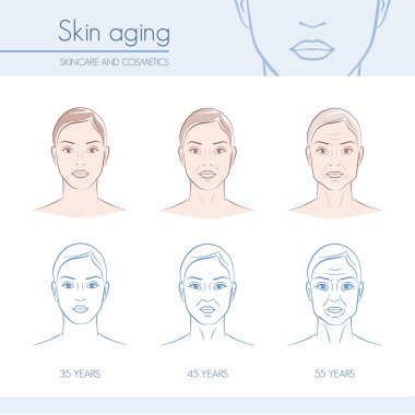 Skin aging stages on female faces