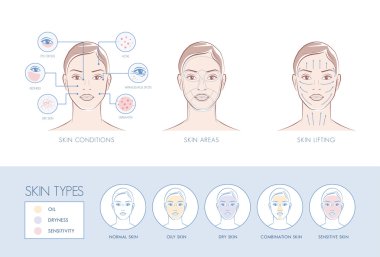 Skin problems, face areas clipart
