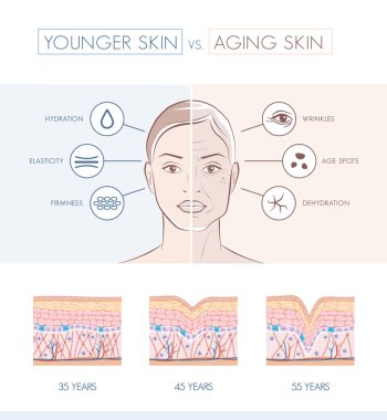 Young healthy sking and older skin