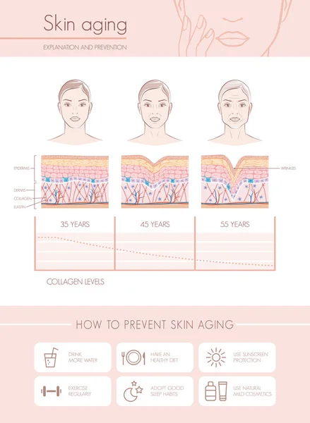 Diagrammes et étapes du vieillissement cutané — Image vectorielle