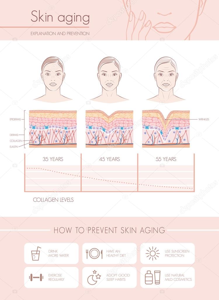 Skin aging diagrams and stages