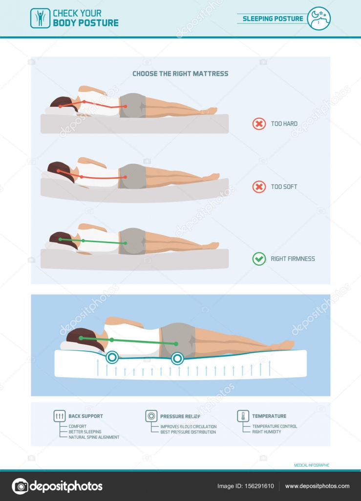Correct sleeping ergonomics — Stock Vector © elenabs 156291610