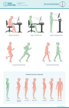 Body ergonomics infographic clipart