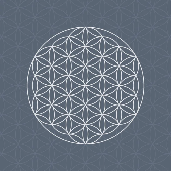Flower of life sacred geometry pattern — Stock Vector