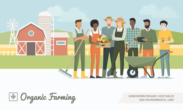 Genç Çiftçilerin Ekip Birlikte Çalışma Organik Sebze Sağlıklı Gıda Üretim — Stok Vektör
