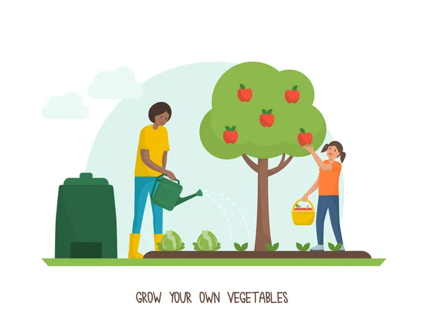 Yeşil Yaşam Sürdürülebilirlik Ipuçları Evde Kendi Sebze Bahçenizi Yetiştirin — Stok Vektör