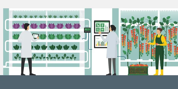 Hidroponia da agricultura vertical — Vetor de Stock