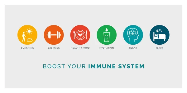 How Boost Your Immune System Naturally Expose Sunlight Exercise Eat — Stock Vector