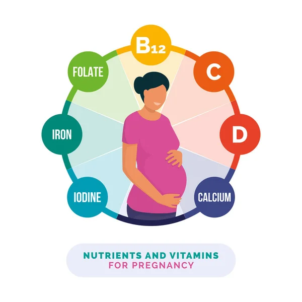 妊娠のための栄養とビタミン 彼女の腹を保持する笑顔の妊婦と栄養と医療のインフォグラフィック — ストックベクタ
