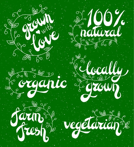 Lot Logos Timbres Badges Étiquettes Pour Produits Naturels Éco Produits — Image vectorielle