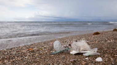 Plaj kirliliği. Plastik şişeler ve deniz sahilindeki diğer çöpler. Okyanus kirliliği.