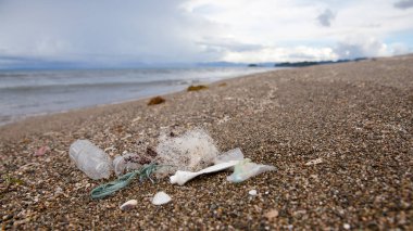 Plastik çöpler sahile atılıyor. Plaj kirliliği.