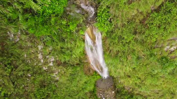 Waterval in de tropische jungle, bovenaanzicht. — Stockvideo