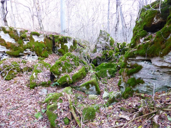 Stones Covered Moss Autumn Forest — Stock Photo, Image