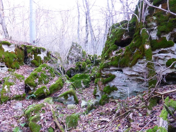 Mit Moos Bewachsene Steine Herbstwald — Stockfoto