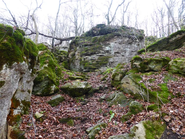 Stones Covered Moss Autumn Forest — Stock Photo, Image