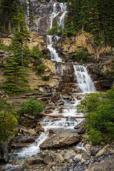 Alberta Kanada Icefields Parkway Boyunca Dolaştırmak Falls Telifsiz Stok Fotoğraflar