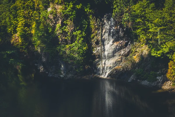 キャピラノ川を小さな滝 ロイヤリティフリーのストック画像
