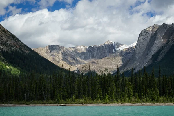 Скелясті Гори Maligne Озеро Поблизу Яшма Альберта Канада Ліцензійні Стокові Фото