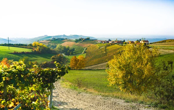 Zümrüt kolye ve kobalt mavi gökyüzü