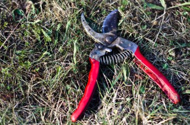 Bahçe için budama makası