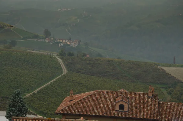 피에몬테 Langhe 풍경의 전형적인 — 스톡 사진