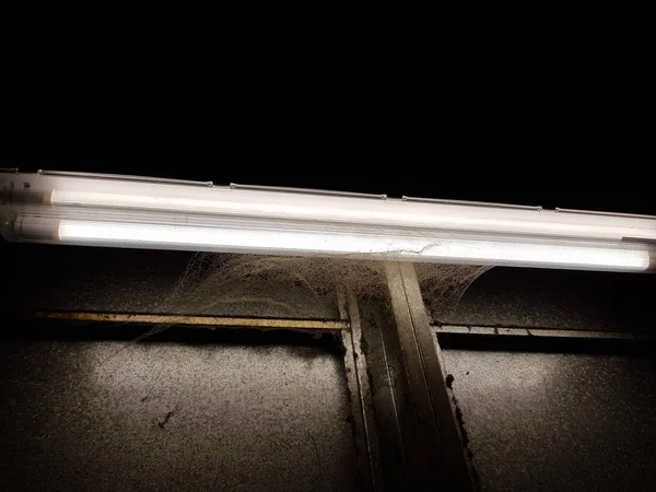 Neonlicht mit Spinnweben überzogen — Stockfoto