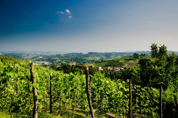 Landschaften des Roero im Piemont — Stockfoto