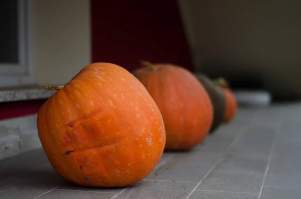 Orange pumpa för Halloween — Stockfoto