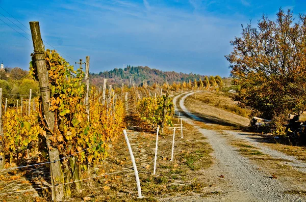 sonbahar renkleri ısı